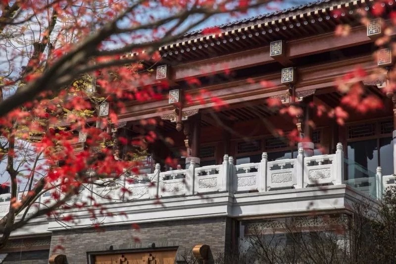 19.webp.jpg 19.webp.jpg